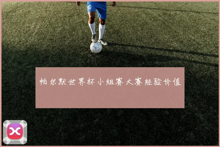 帕尔默世界杯小组赛大赛经验价值