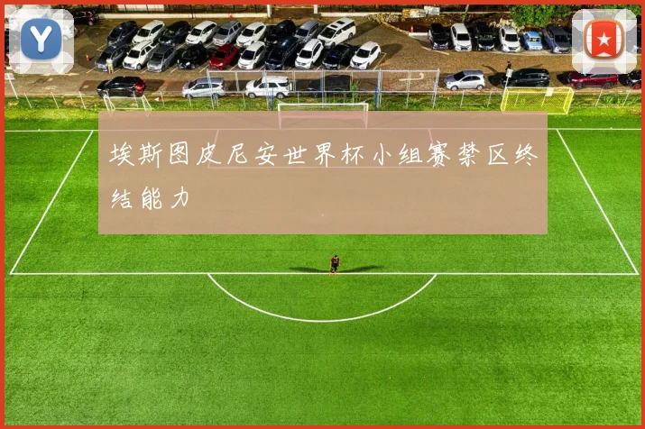 埃斯图皮尼安世界杯小组赛禁区终结能力