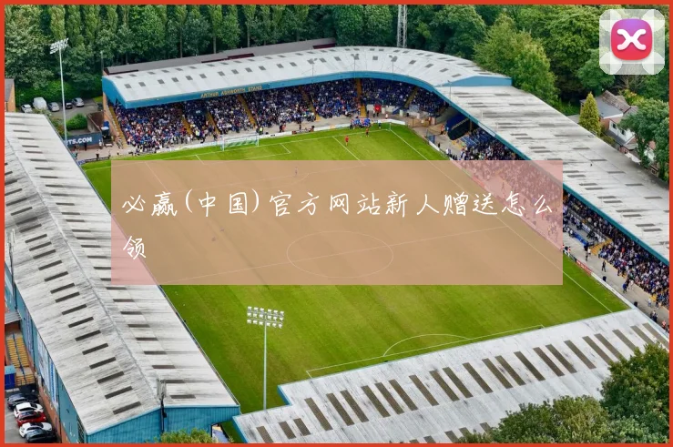 必赢(中国)官方网站新人赠送怎么领